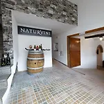 A Vinarstvi Naturvini