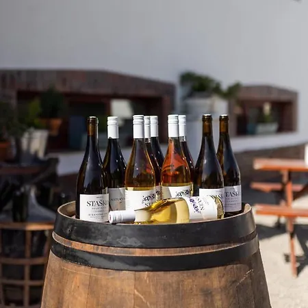 Vakantieboerderij A Vinarstvi Naturvini
