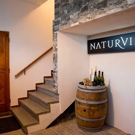 Vakantieboerderij A Vinarstvi Naturvini *